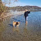 Clique pour agrandir ...